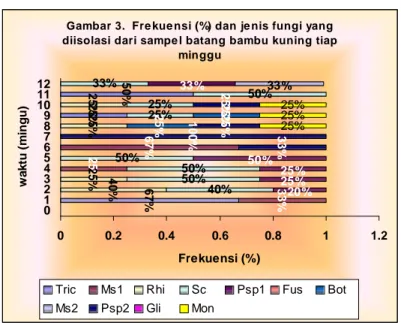 Gambar 3. Fre kue nsi (%) dan je nis fungi yang diisolasi dari sampe l batang bambu kuning tiap