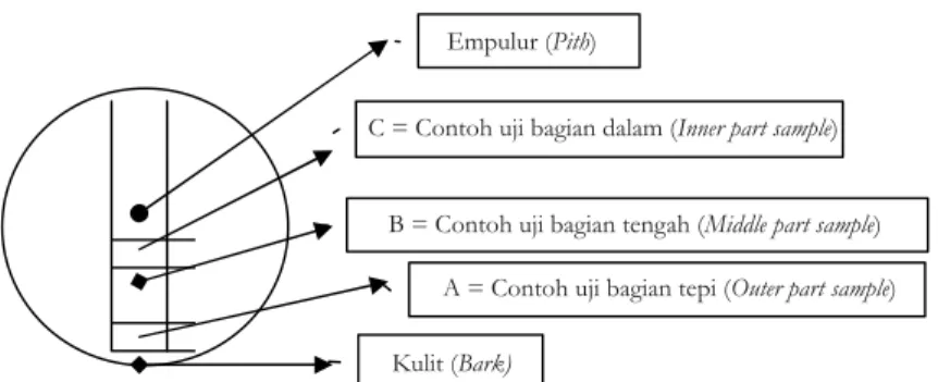 Gambar 1. Pola pengambilan contoh uji Figure 1. Cutting pattern of wood samples