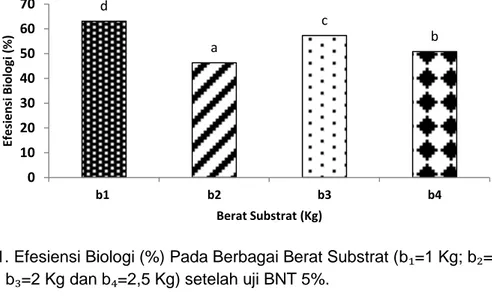 Gambar 1. Efesiensi Biologi (%) Pada Berbagai Berat Substrat (b₁=1 Kg; b₂=1,5 Kg; 
