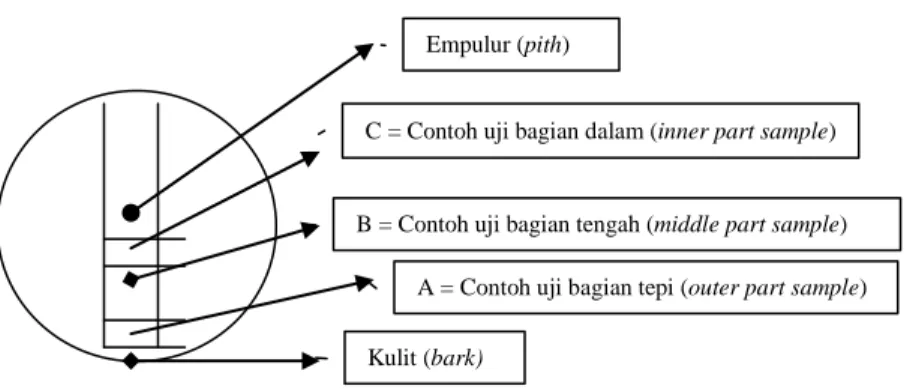 Gambar 1. Pola pengambilan contoh uji   Figure 1. Cutting pattern of wood samples 