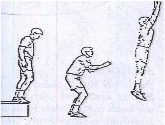 Gambar�2.3�Contoh�gerakan�latihan������������(Donald�A.�Chu,�1992:49).�