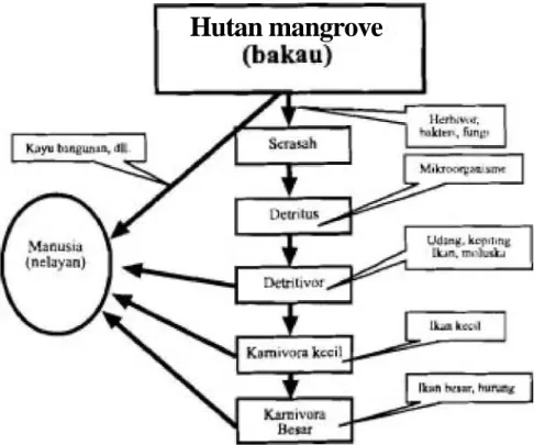 Gambar :   Hubungan  saling membutuhkan  antara berbagai komponen yang  menghuni pada  ekosistem hutan mangrove (modifikasi dari SUGIARTO &amp; EKARIYONO 1996) 