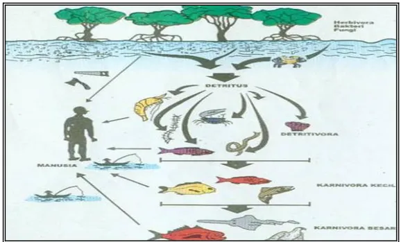 Gambar 1. Hubungan  saling Bergantung Antara Berbagai Komponen   Ekosistem Hutan Mangrove (Bengen DG, 2000)