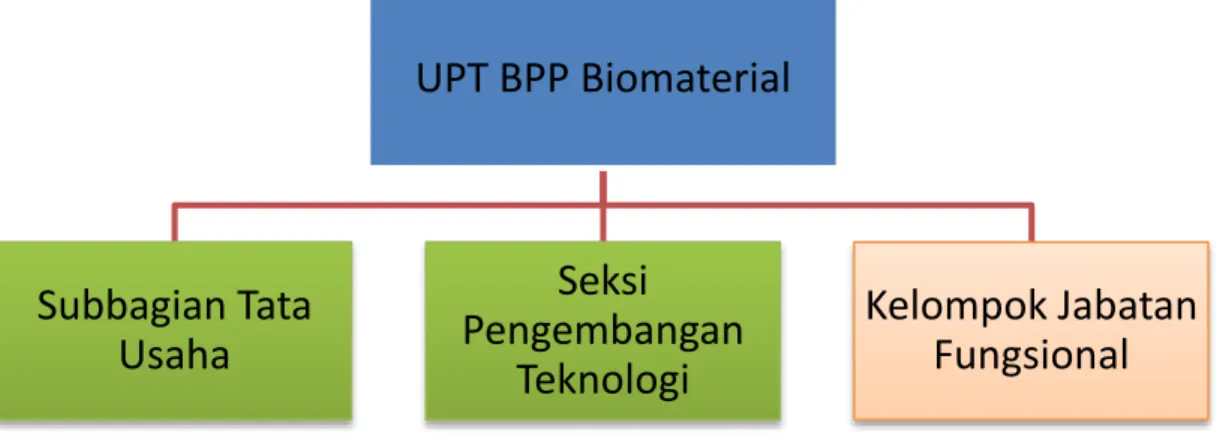 Gambar 1. Struktur organisasi UPT BPP Biomaterial 