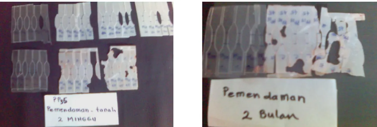 Gambar 8.  Hasil soil butiral test nonokomposit PP35-CaCO 3  untuk 2 (dua) minggu dan 2 (dua) bulan  dengan komposisi  40:60 