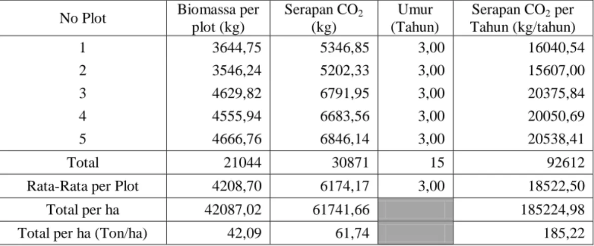 Tabel  8.  Potensi  Serapan  Karbon  Dioksida  Tegakan  Bambu  Parring  pada  Hutan   Rakyat di Kecamatan Simbang, Kabupaten Maros