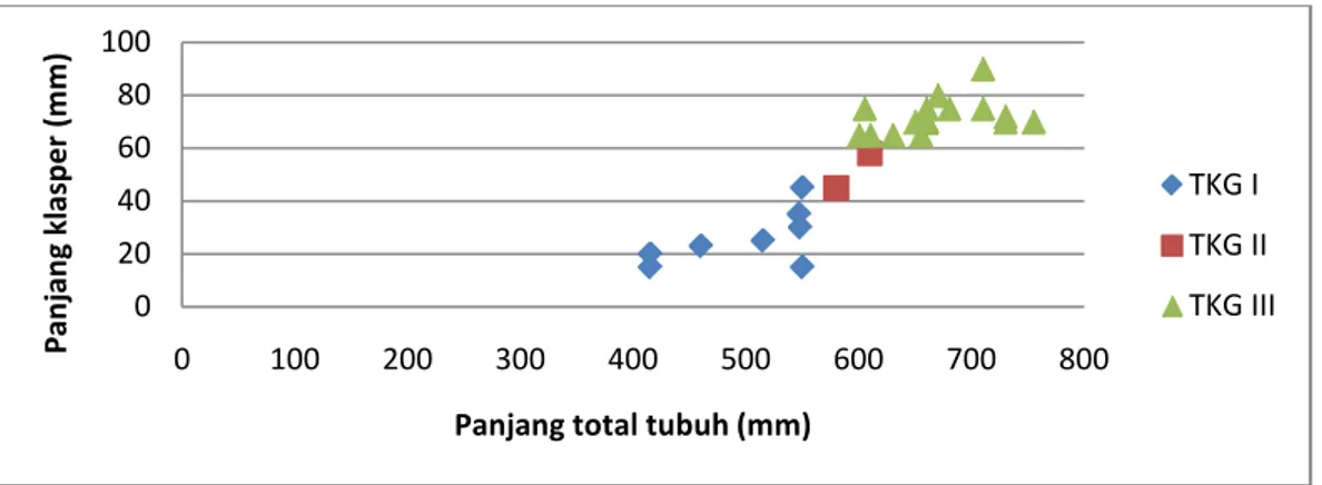 Gambar 2. Distribusi (ekor) tingkat kematangan gonad  ikan pari (Dasyatis kuhlii  Müller &amp; Henle, 1841) jantan berdasarkan kisaran panjang tubuh  (mm) yang didapatkan selama penelitian 