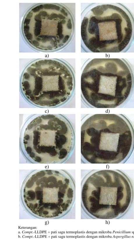 Gambar  16.    Hasil  analisis  uji  biodegradabilitas  menggunakan  mikroba  Penicillium sp