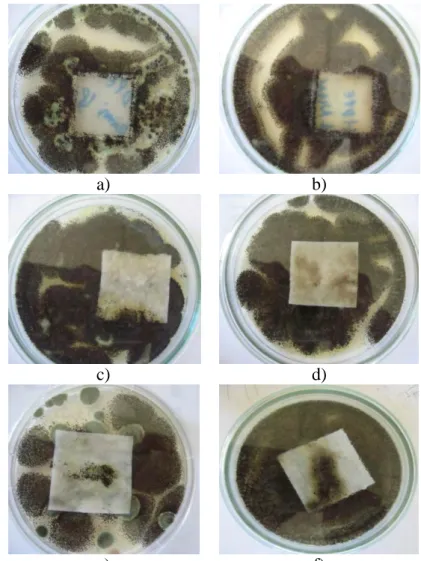 Gambar  17.    Hasil  analisis  uji  biodegradabilitas  menggunakan  mikroba  Penicillium sp