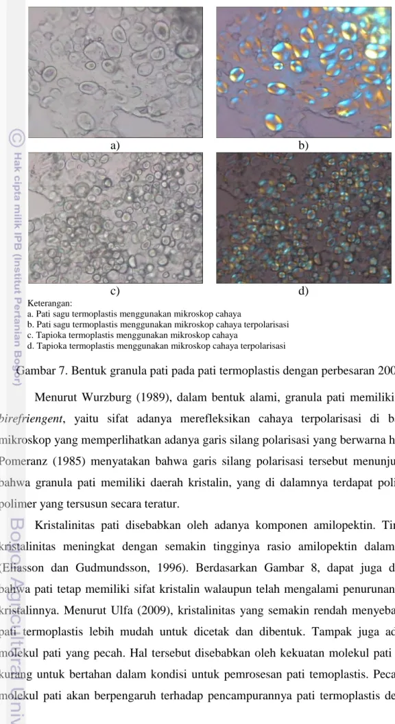 Gambar 7. Bentuk granula pati pada pati termoplastis dengan perbesaran 200x  Menurut  Wurzburg  (1989),  dalam  bentuk  alami,  granula  pati  memiliki  sifat  birefriengent,  yaitu  sifat  adanya  merefleksikan  cahaya  terpolarisasi  di  bawah  mikroskop