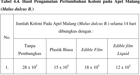 Tabel  4.4.  Hasil  Pengamatan  Pertumbuhan  Koloni  pada  Apel  Malang  (Malus dulcus B.)  