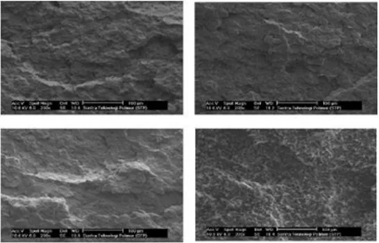 Gambar 4 SEM Permukaan Pataha PP Murni (Atas Kiri). PP Daur  Ulang 1 (Atas Kanan), PP Daur Ulang 2 (Bawah Kiri) dan PP Daur 
