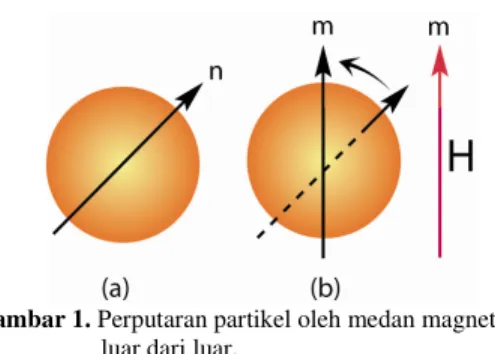 Gambar 1. Perputaran partikel oleh medan magnet                       luar dari luar. 
