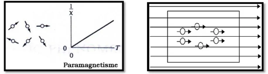 Gambar 2.2  Arah domain dan kurva bahan paramagnetik (a). Sebelum       diberi medan magnet luar, (b)