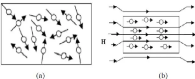 Gambar 6. Arah partikel pada magnet isotropi dan anisotropi  (a) Arah partikel acak (Isotrop) 