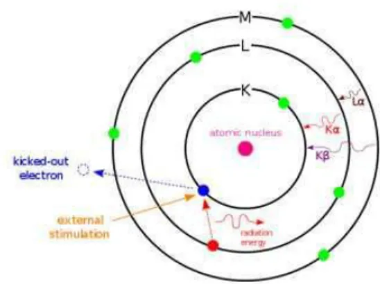 Gambar 13. Skema EDX (Energy Dispersive X-Ray) (www.wikipedia.com) 