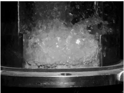 Gambar III.5 Bentuk Froth pada Sieve Tray  III.4  Hidrodinamika pada Kolom Distilasi 