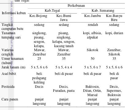 Tabel 1  Kondisi dan cara budidaya perkebunan cengkih di Kabupaten Semarang 