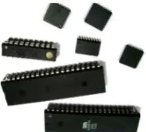Gambar 2. 1 Chip Mikrokontroler  2. 4.  NodeMCU ESP 8266 