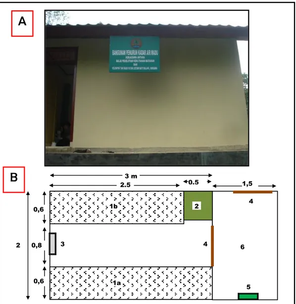 Gambar 5.  Bangunan penurun kadar air madu di sumbawa                        (A : bangunan tampak depan, B: lay out bangunan)    