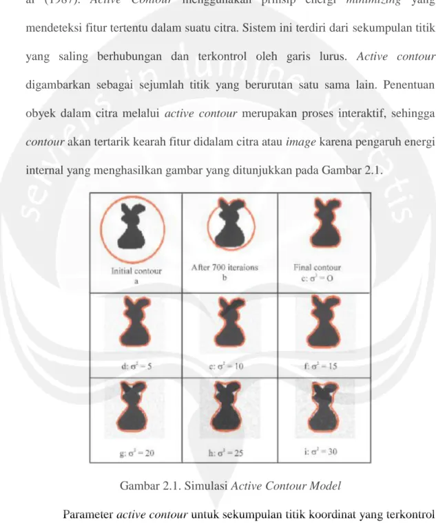 Gambar 2.1. Simulasi Active Contour Model 
