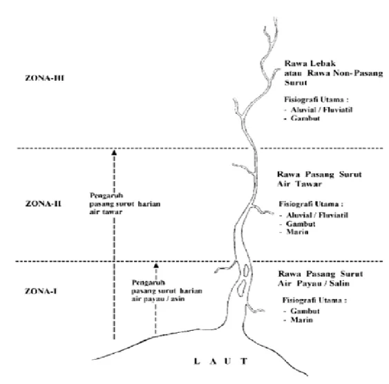 Gambar 3.  Pembagian  zona  lahan  rawa  di  sepanjang  daerah  aliran  sungai  (DAS)  bagian  bawah  dan tengah (Badan Penelitian dan Pengembangan Pertanian, 2006)