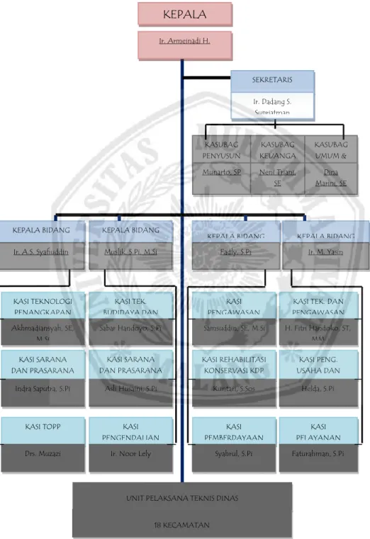 Gambar 3.3 Struktur Organisasi Dinas  Kelautan dan Perikana 