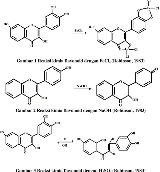 Gambar 1 Reaksi kimia flavonoid dengan FeCl 3  (Robinson, 1983) 
