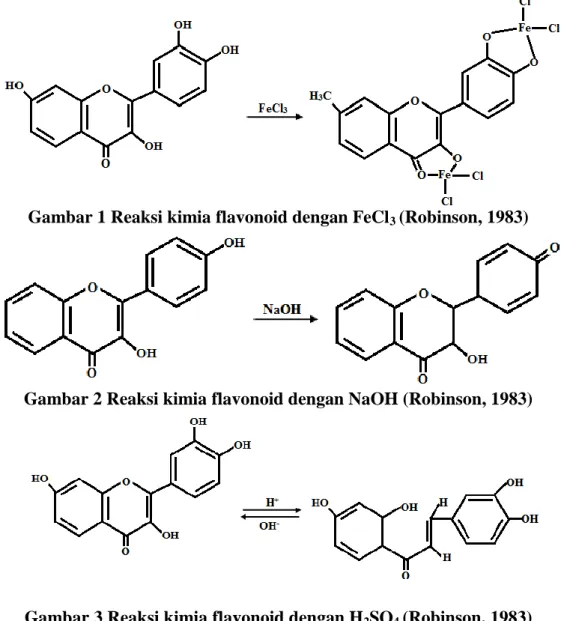 Gambar 2 Reaksi kimia flavonoid dengan NaOH (Robinson, 1983)
