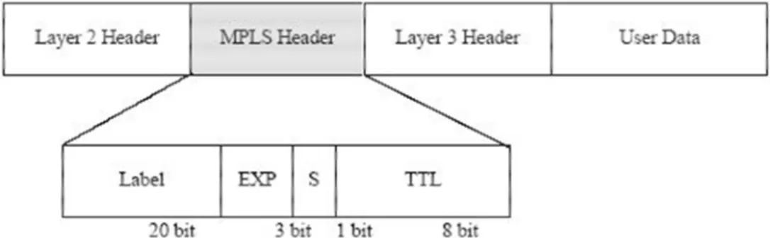 Gambar 2.4 Format MPLS header packet 