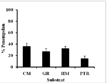 Gambar  1.  Rata-rata  penempelan  pediveliger  siput  laut,  sebagai  respons  terhadap  substrat  yang  berbeda, CM=cangkang serta  mukus, GR=alga  Gracilaria  sp,  HM=alga  Halimeda  sp,  dan  PTR=Petri  dish  (cawan  petri),  (Error  Bar=Standar Error 