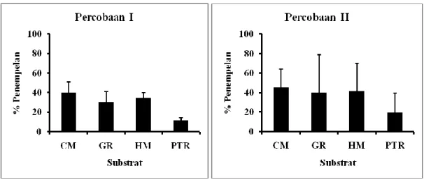 Gambar 3. Rata-rata persentase penempelan pediveliger Abalone pada substrat yang berbeda, baik pada Perobaan I  dan  Percobaan  II