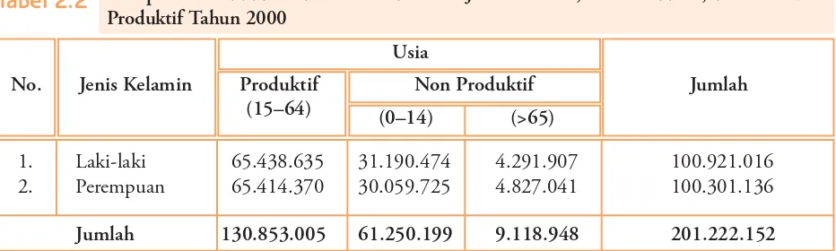 Tabel 2.2Komposisi Penduduk Indonesia Berdasarkan Jenis Kelamin, Usia Produktif, dan Usia Non- Produktif Tahun 2000