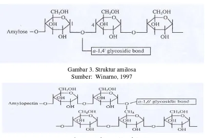 Gambar 3. Struktur amilosa 