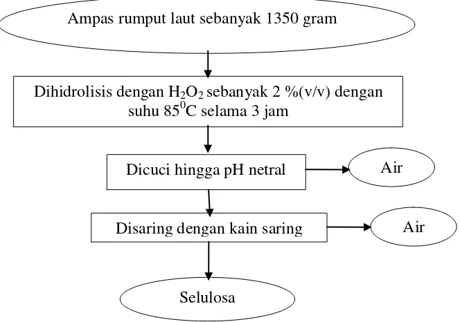 Gambar 8.  Diagram alir pemurnian selulosa dari ampas Eucheuma cottonii Sumber:  Hidayati (2000, dengan modifikasi) 