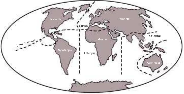Gambar 1 .2  W ilayah zoogeografis dunia Wallace