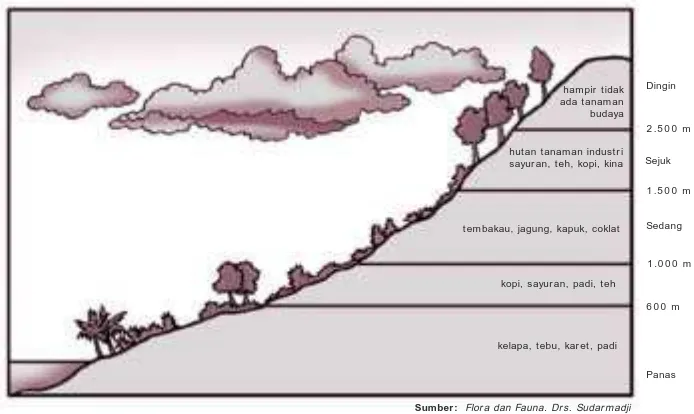 Gambar 1 .4 . Zona tumbuh-tumbuhan di Indonesia berdasarkan ketinggian permukaan bumi(menurut Junghuhn)