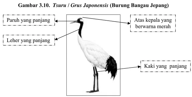 Gambar 3.10.  Tsuru / Grus Japonensis (Burung Bangau Jepang) 