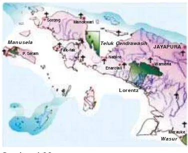 Gambar 1.36Taman Nasional di Papua (Irian Jaya)
