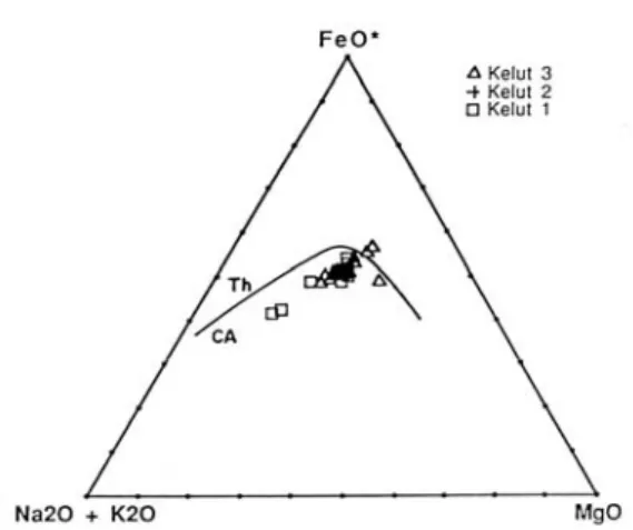 Gambar 6: Diagram AFM dari batuan G. Kelud  (Wirakusumah, 1991). 