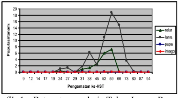Grafik  1.    Rata-rata  populasi    Telur,  Larva,  Pupa  dan  Imago  S.  litura  yang  menyerang  tanaman  tembakau Virginia 