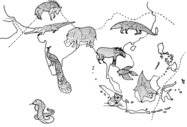 Gambar 1.16 Peta kawasan fauna Oriental