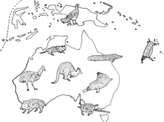 Gambar 1.17 Region fauna Australia