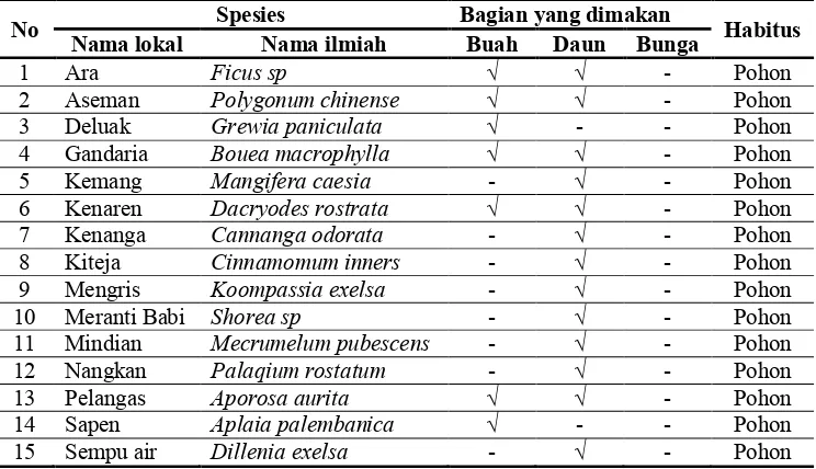 Tabel 3. Jenis tumbuhan pakan siamang pada bulan Agustus 2012 di Resort Way Kanan TNWK.