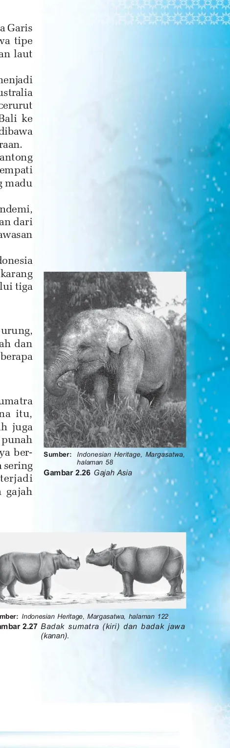 Gambar 2.26 Gajah Asia
