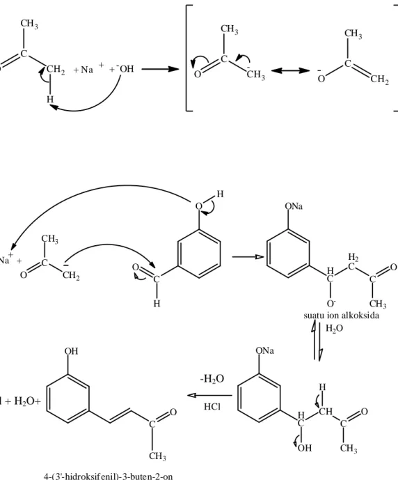 Gambar 14. Mekanisme reaksi pembentukan 4-(3-hidroksifenil)-3-buten-2-on  dengan katalis basa