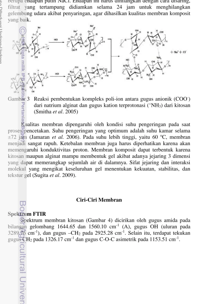 Gambar 3  Reaksi pembentukan kompleks poli-ion antara gugus anionik (COO - )  dari natrium alginat dan gugus kation terprotonasi ( + NH 3 ) dari kitosan  (Smitha et al