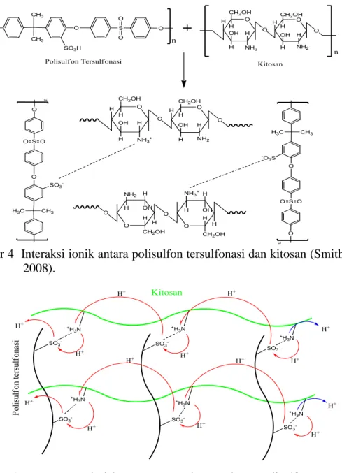 Gambar 4  Interaksi ionik antara polisulfon tersulfonasi dan kitosan (Smitha et al. 