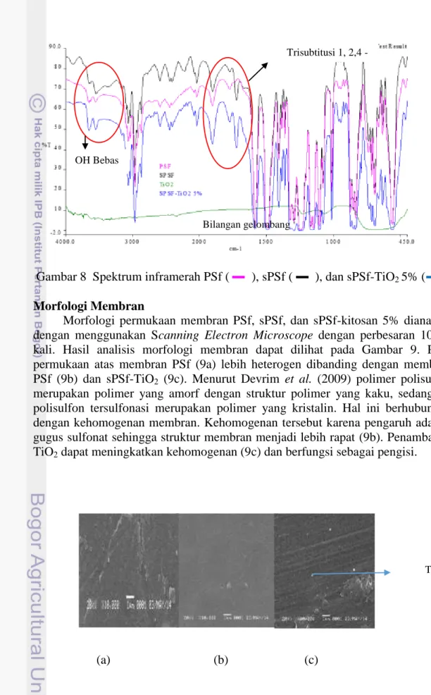 Gambar 8  Spektrum inframerah PSf (       ), sPSf (       ), dan sPSf-TiO 2  5% (      )  Morfologi Membran  