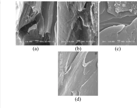 Gambar 5 Morfologi penampang lintang membran PSf (a), sPSf (b), dan sPSf- sPSf-zeolit 5% (c) dengan perbesaran 10000× serta penampang lintang  membran sPSf-60 Lufrano et al